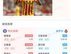 开云体育平台APP-关于沃尔夫斯堡客场惊喜：客场击败升班马取得开门红的信息