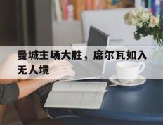 开云体育入口-关于曼城主场大胜，席尔瓦如入无人境的信息