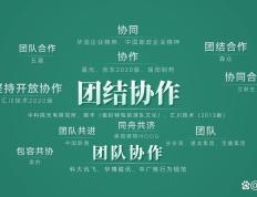开云体育下载-狮城队球员团结协作，展现出强大的团队力量