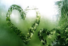 开云平台-开拓者队实力强劲，球迷期待球队更进一步