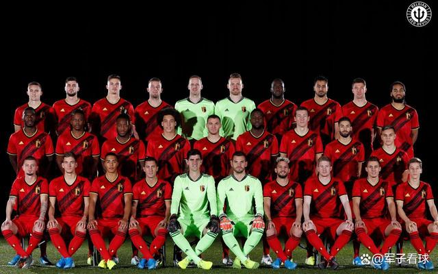 开云体育APP下载-比利时队晋级欧洲杯八强